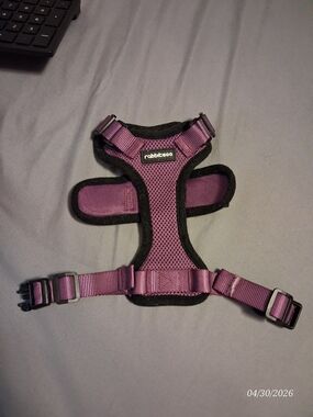rabbitgoo Purple Padded Cat Harness - Adjustable Comfort Fit